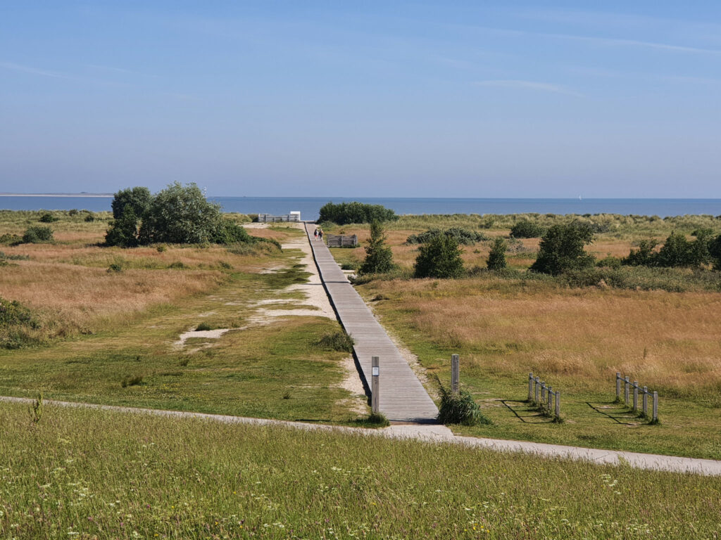 Naturstrand Schillig