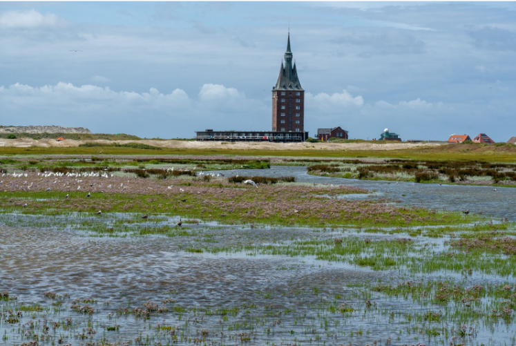 Tagesausflug zur Insel Wangerooge: Ein Naturparadies entdecken